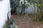 Près du lila à l'ombre