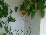 19082008.jpg