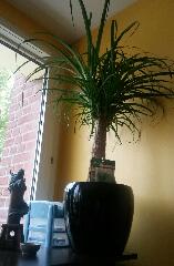 rps20140907_130416.jpg