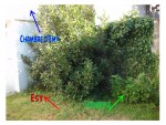 Jardin 7.jpg