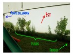 Jardin 9.jpg