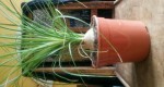 rps20140910_094018.jpg