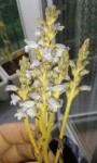 20140830_152053.jpg