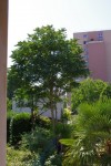 IMGP3917.jpg