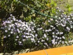 DSCN5809.JPG