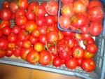 DSCN5816.JPG