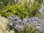DSCN5814.JPG
