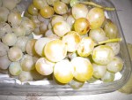 DSCN5800.JPG