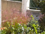 DSCN5808.JPG
