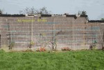 mur vignes.jpg