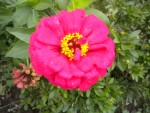 DSCN5853.JPG