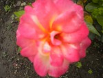 DSCN5851.JPG