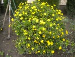 DSCN5849.JPG