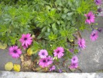 DSCN5848.JPG