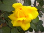 DSCN5847.JPG