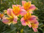 DSCN5836.JPG