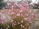 DSCN5834.JPG