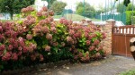 20140921_142323.jpg