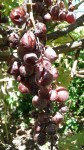 20140817_134158.jpg