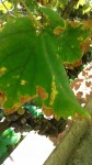 20140817_134028.jpg