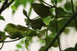 IMG_2481.JPG