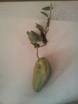20140923_111432.jpg