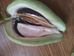20140923_114333.jpg
