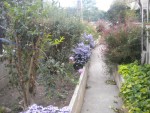 DSCN5826.JPG