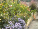 DSCN5827.JPG