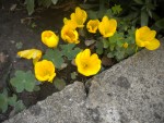 DSCN5828.JPG