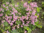 DSCN5830.JPG