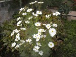 DSCN5831.JPG
