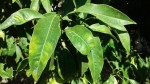 20140925_103025.jpg