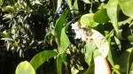 20140925_103043.jpg