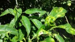 20140925_103115.jpg