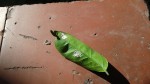 20140925_103515.jpg