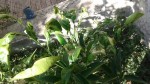 20140925_103547.jpg