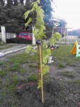 20140928_073943bis.jpg