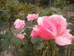 DSCN5844.JPG