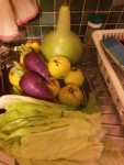 legumes.jpg
