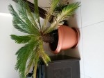 1412055306342.jpg