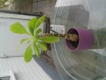 20141006_135237.jpg