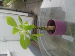 20141006_135232.jpg