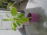 20141006_135226.jpg