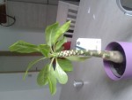 20141006_133309.jpg