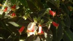 2014-08-27-8492.jpg
