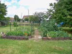 Le potager