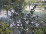DSCN5868.JPG