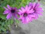 DSCN5867.JPG