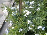 DSCN5866.JPG